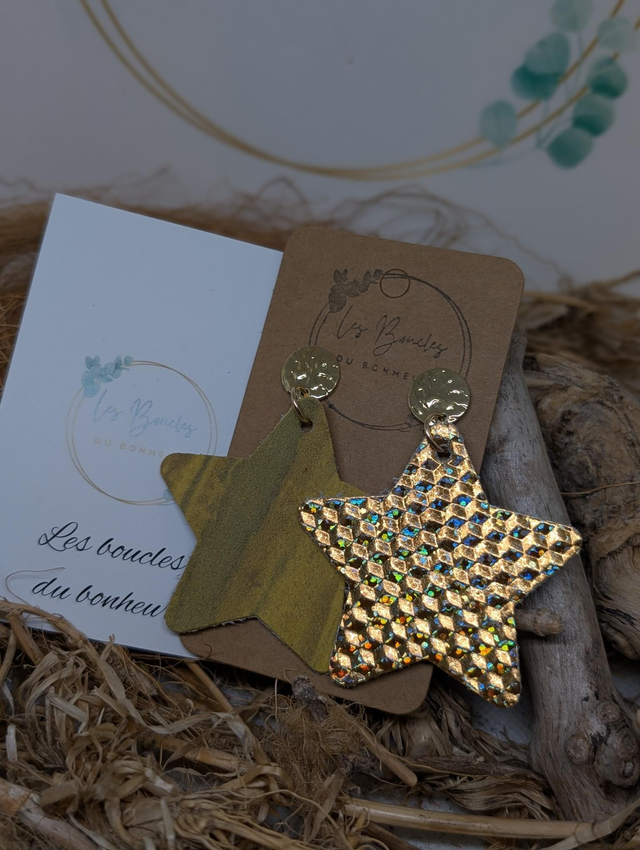 Boucles d&#039;oreilles Asymétrique ag141