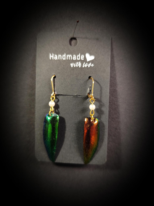 Boucles d&#039;oreilles Elytres de coléoptère 