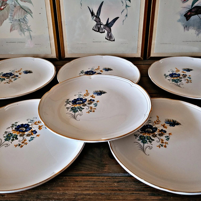 Assiettes à dessert vintage Moulin des Loups modèle Volubilis (lot de 6)