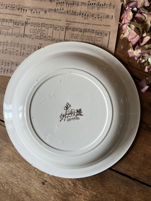 TREMIERES - Plat creux rond de la manufacture des Salins XIXème siècle - Terre de Fer