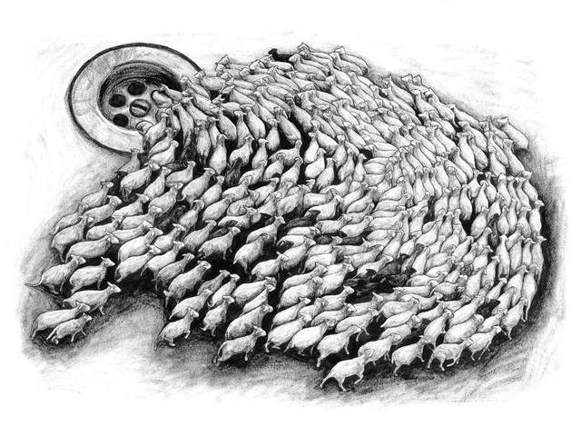 Levalet - Print Sheep