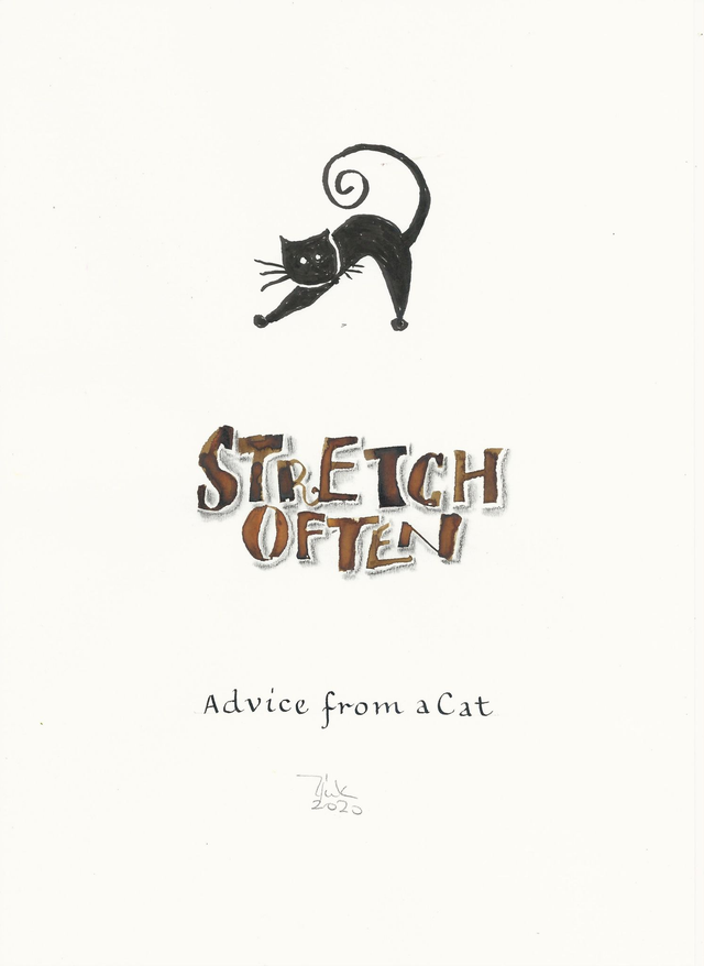 Kissojen viisauksia Stretch often