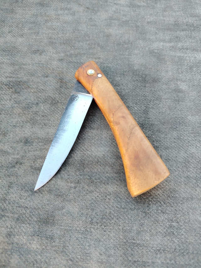 2 clous classique slim Albizia n°21