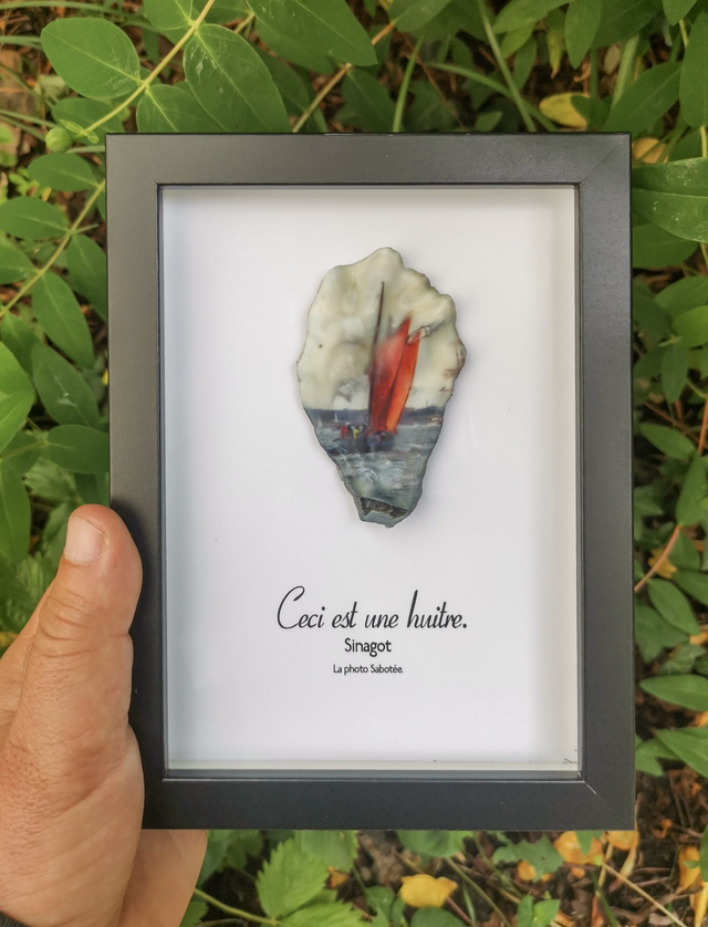 13x18 : Ceci est une huitre "Sinagot" c