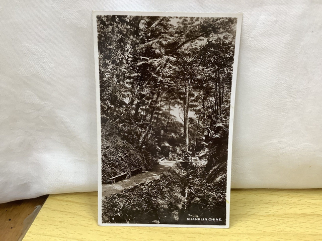 Shanklin Chine, Shanklin, Isle of Wight, vintage Excel Series Postcard. Our Ref No. R621 £2.50