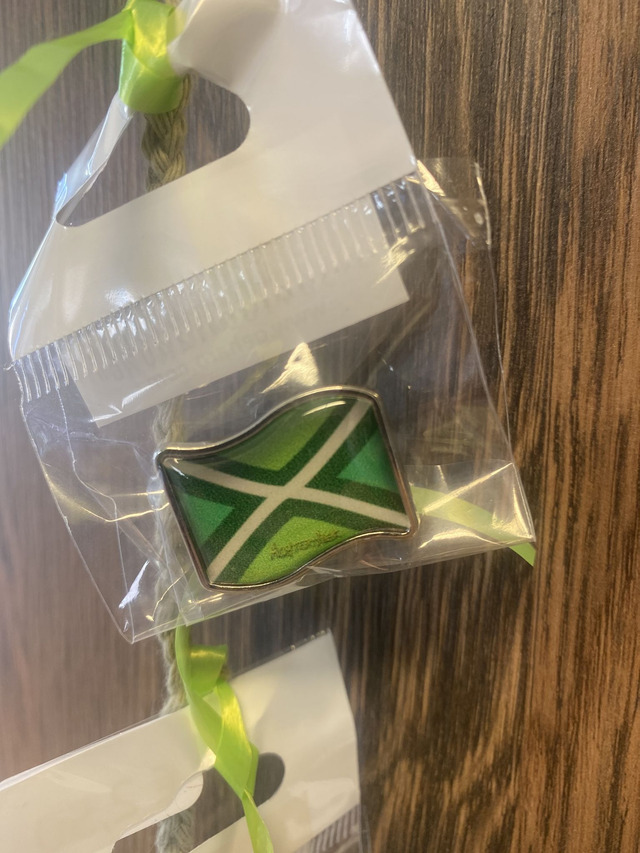 Vlaggetje revers pin