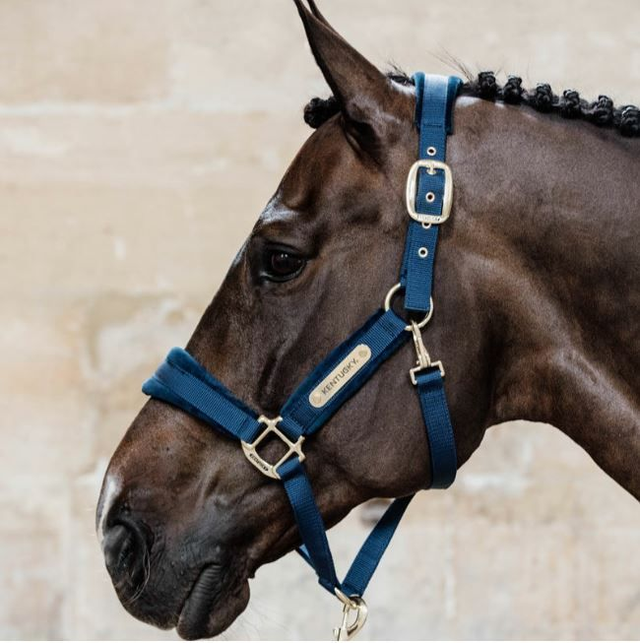 Kentucky Horsewear Velvet Headcollar