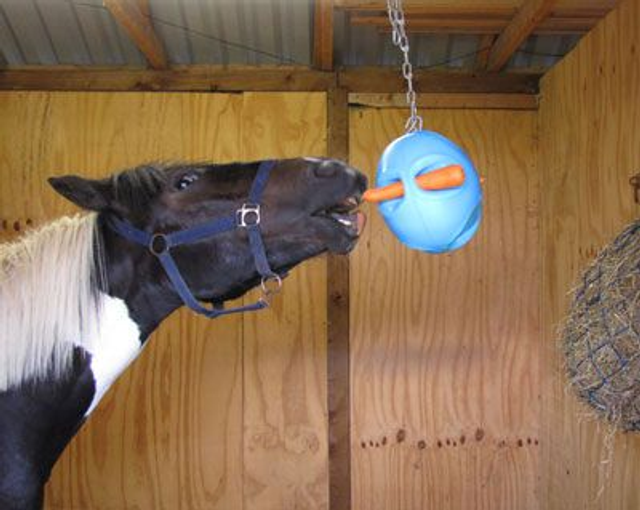 Carrot Ball