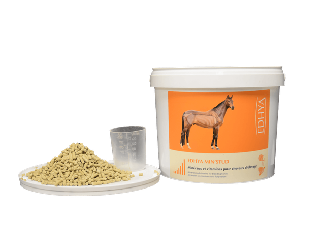 Edhya MIN STUD 4 kg