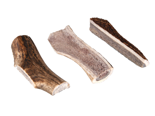 Bois de cerf SPLITS 17-24gr (1 pièce)