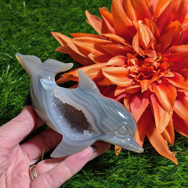 Druzy Agate Dolphin 
