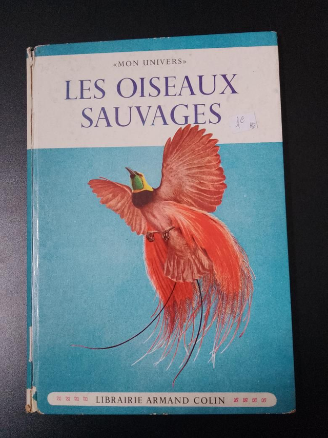 Les oiseaux sauvages