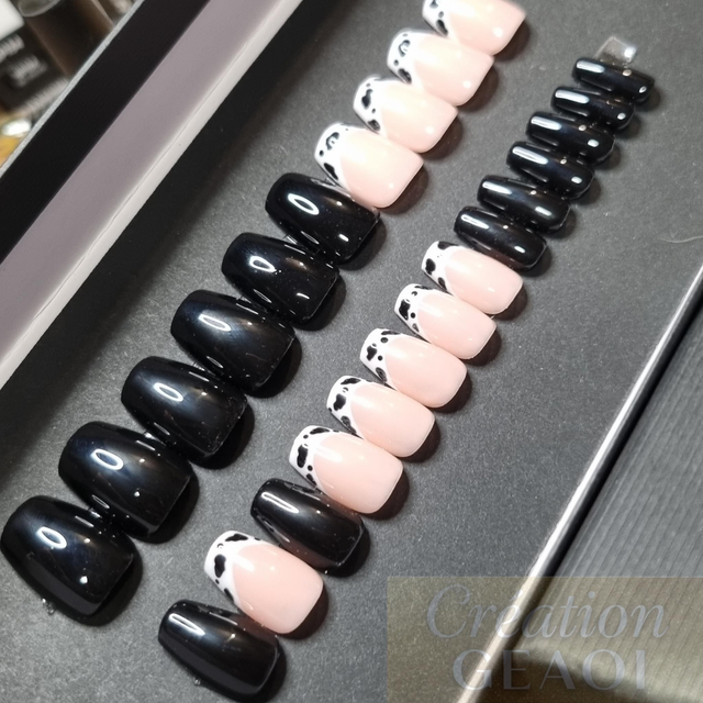 French dalmatien black little coffin xs