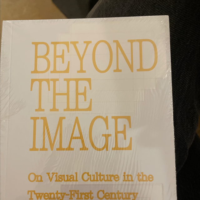 beyond the image alessandro sbordoni