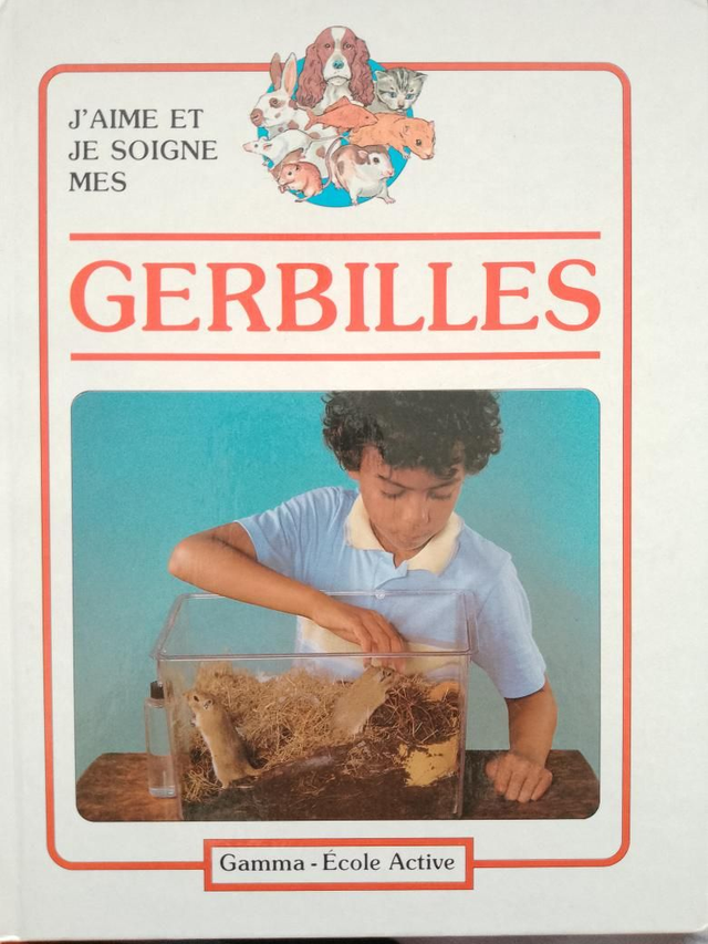Gerbille