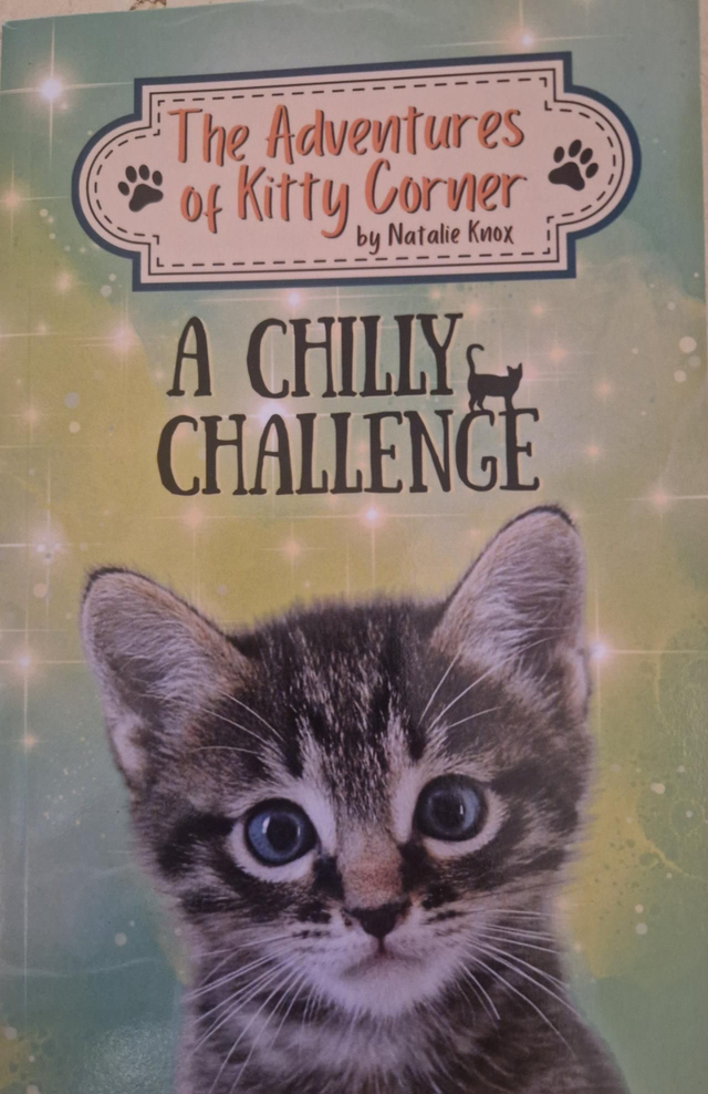 (AGE 6+) The Adventures of Kitty Corner Book 5 - A Chilly Challenge
