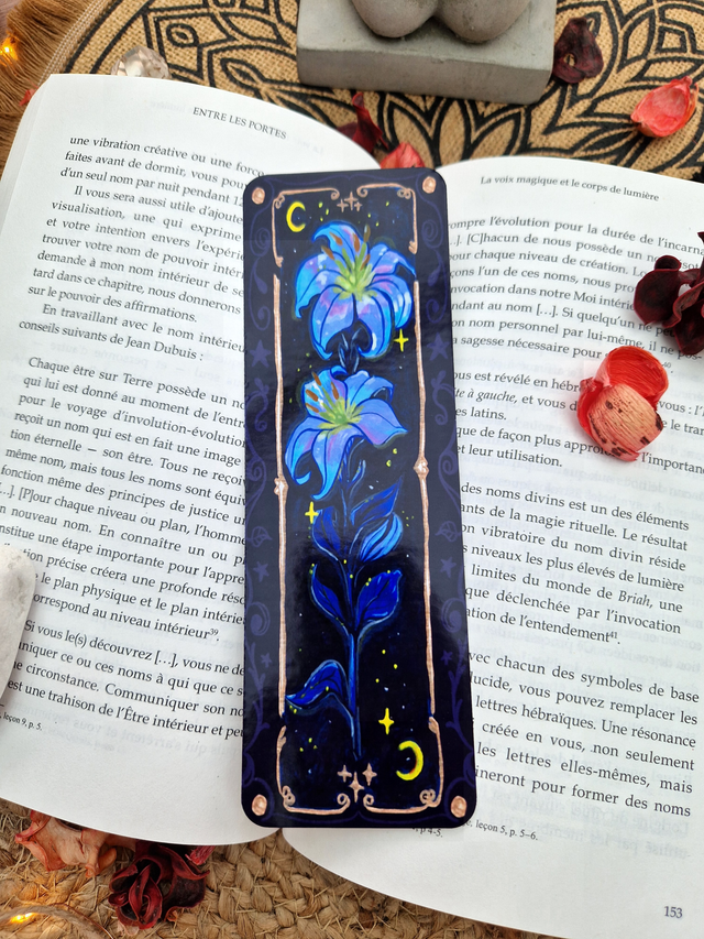 - Lys aux étoiles -