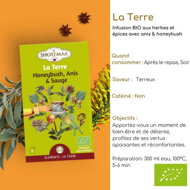 Box Détente : Infusions Bio Vitalité Douce, Équilibre Émotionnel, Digestion Légère et Sommeil Paisible