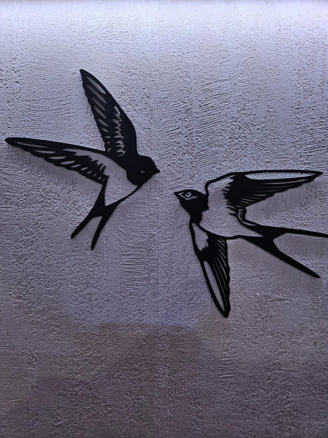 Couple d&#039;hirondelles 