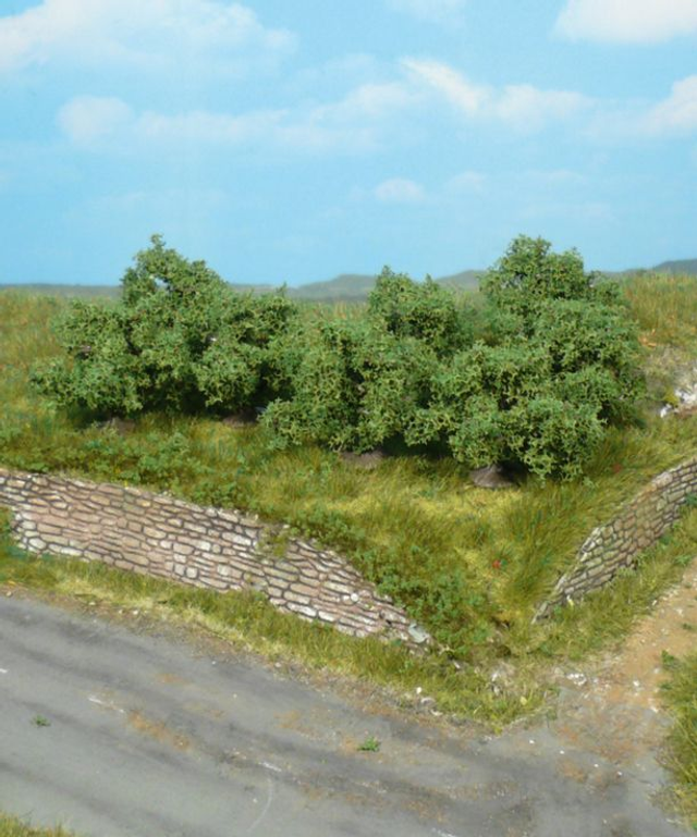 8 buissons 4cm héki 1735