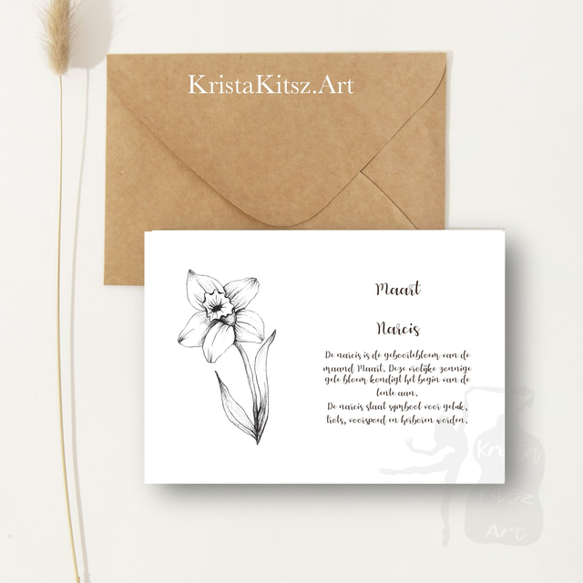 Ansichtkaart Narcis Maart met tekst | inclusief envelop of postkaart | zwart wit tekening illustratie 