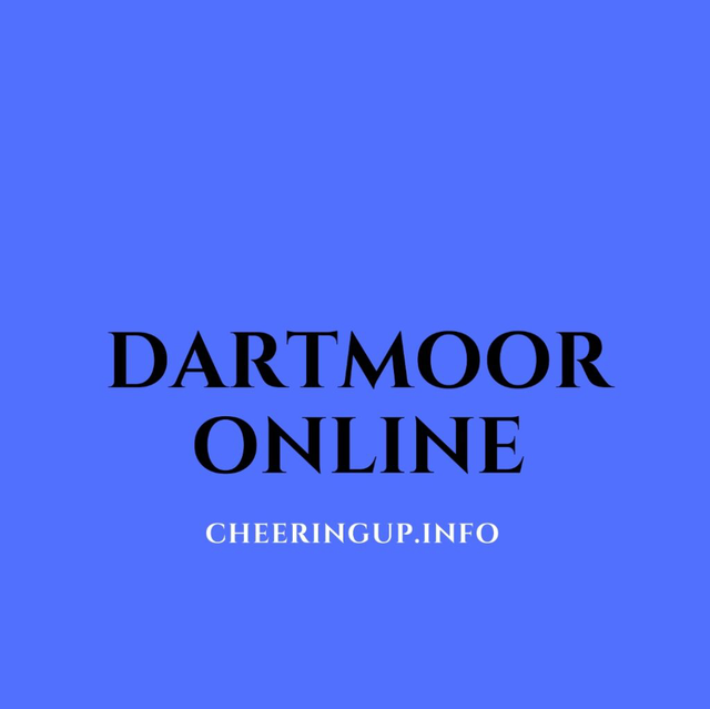 Dartmoor Marketplace CheeringupInfo Dartmoor Market Place