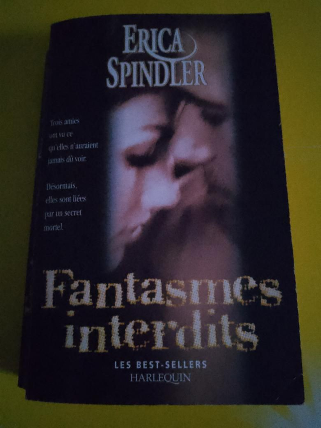 Fantasmes interdits, Erica Spindler