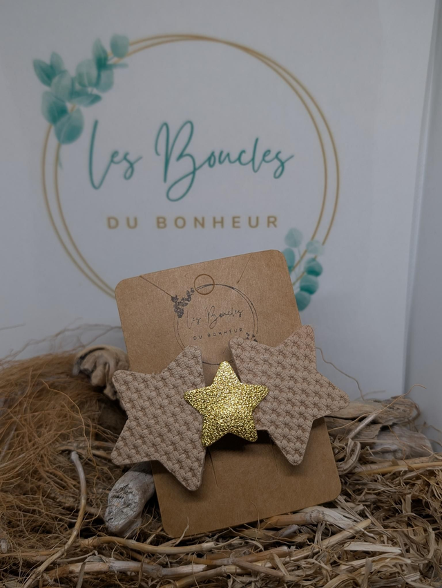 Barrette br59