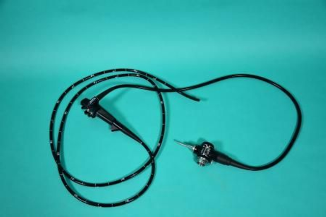 OLYMPUS Gastro-Vet 240 P (vidéogastroscope pour chevaux) champ d'image 140°, profondeur de champ 5 ...