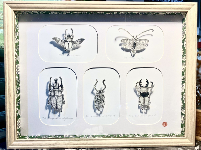 Collection Entomologique - Tirage 1/1