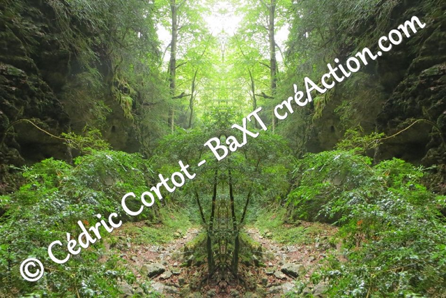 Impression sur alu dibond - Entre réel et irréel (ref 3683 1-3)