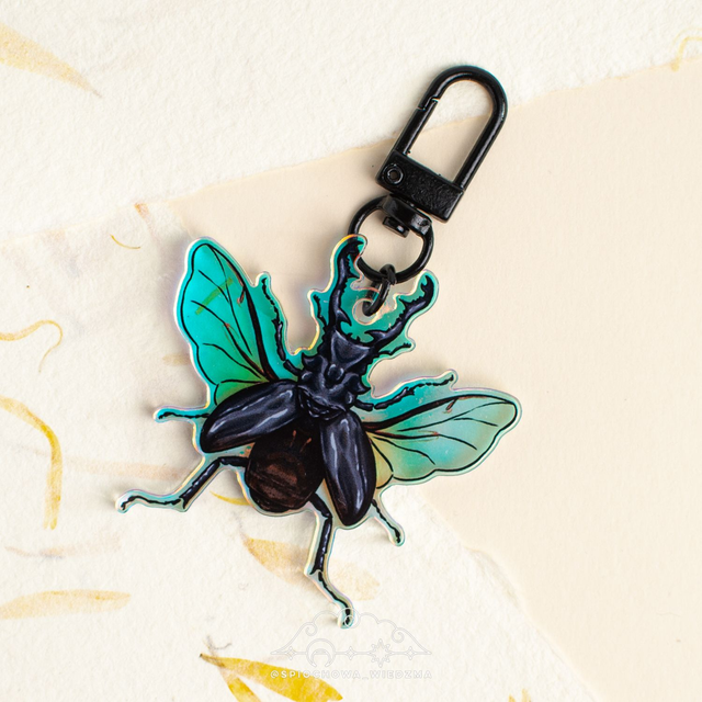 Żuk Jelonek Rainbow | ZWIERZĘTA