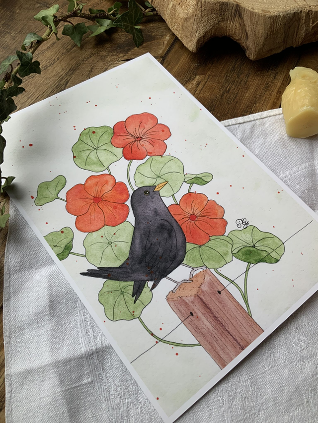 Reproduction A5 « Merlette florale »