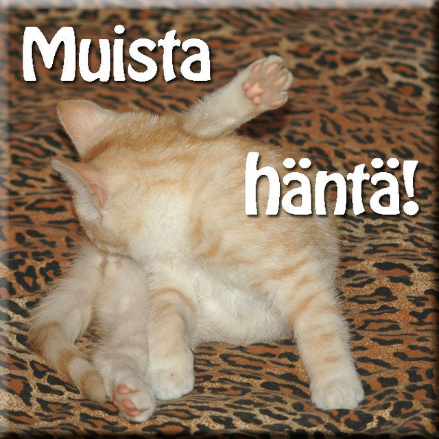 Magneetti "Muista häntä"