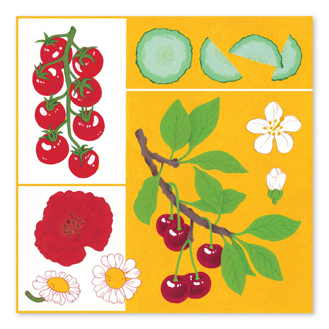 Illustrations du calendrier 2024