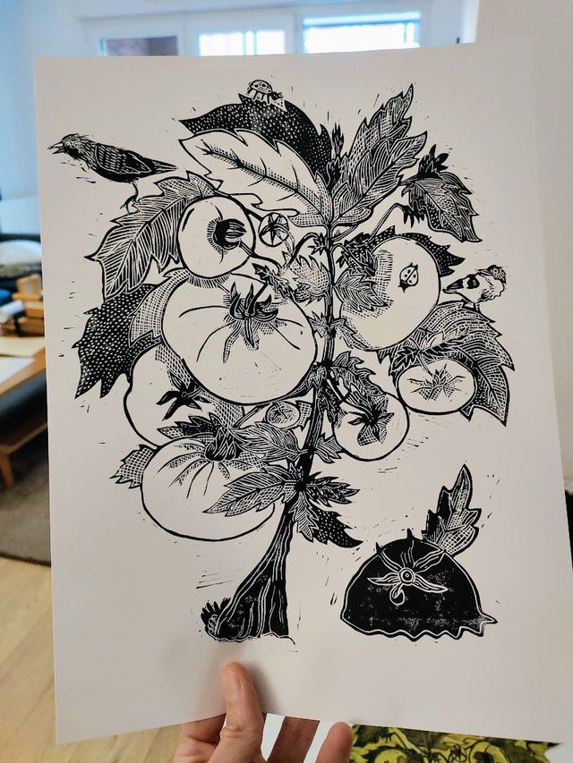 linogravure plant de tomate A4