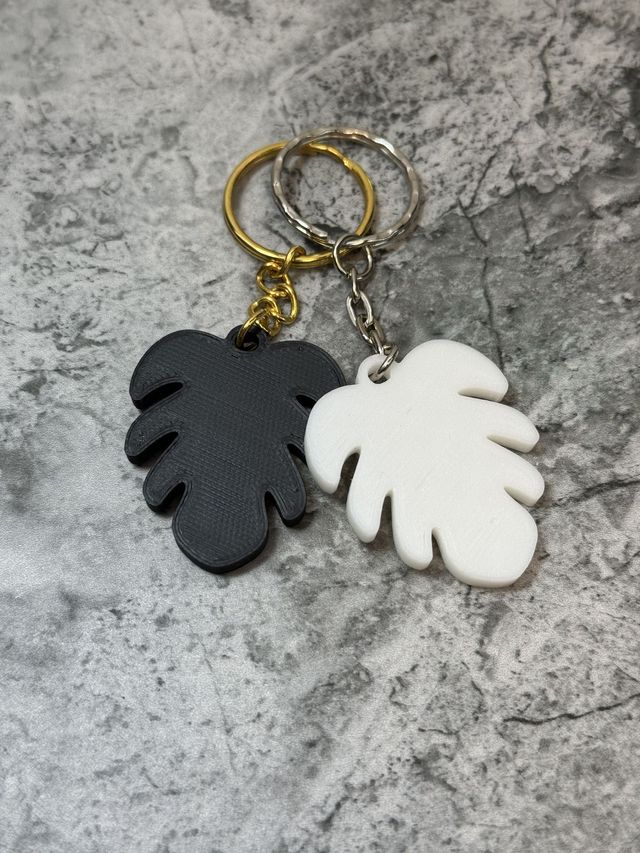 3D Printed Monstera Keyring
