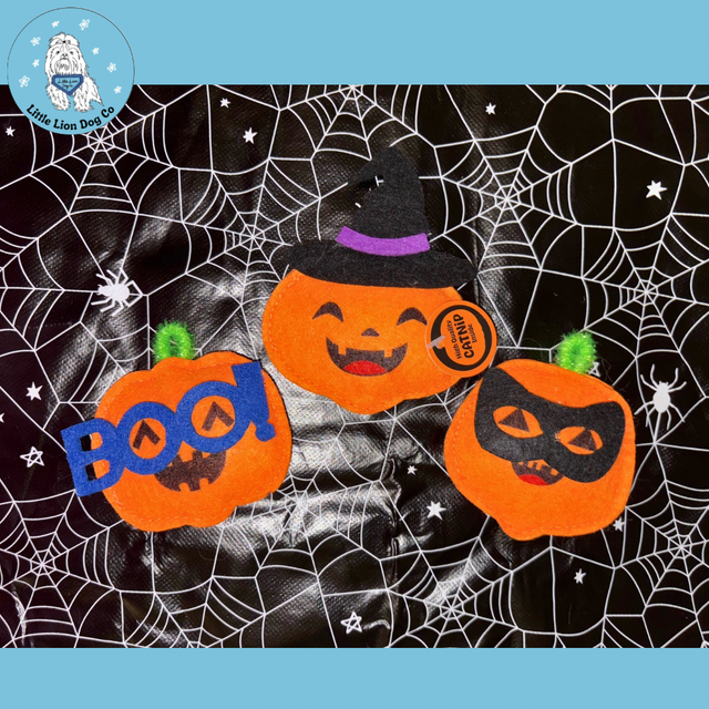Halloween Pumpkin Cat Toys 