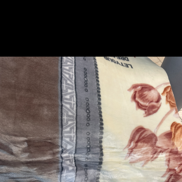 Couvertures polaire 4 kg doublé 200/240 fleurs/vert clairs 