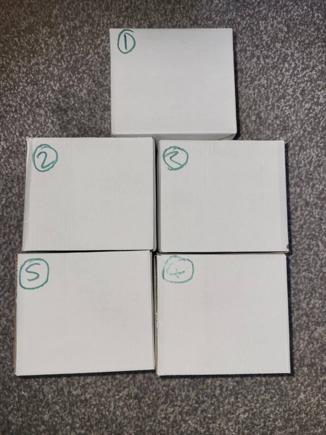 Mystery Halloween boxes