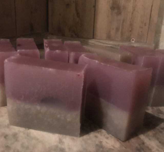 Organic prickly pear soap shampoo bar (cactus)and aloe Vera soap