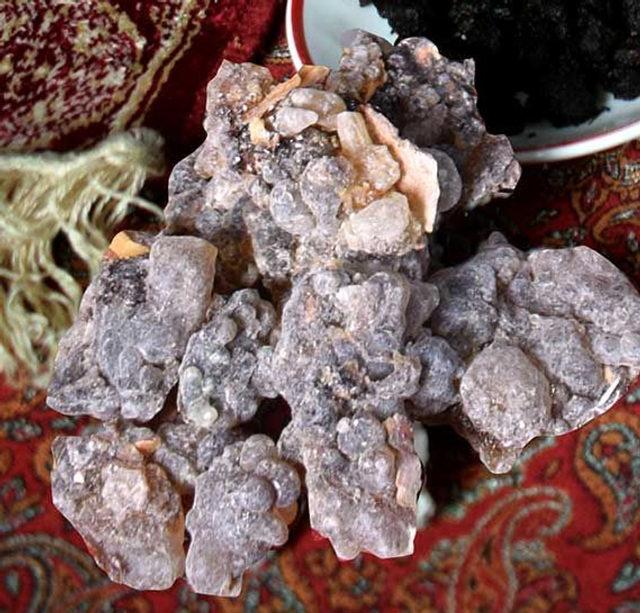 Larmes d'Oliban - Black Hojari de Salalah - Sultanat d'Oman