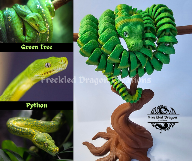 Green Tree Pythons
