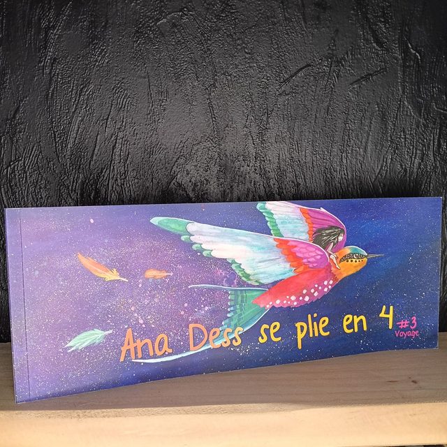 Ana Dess se plie en 4 - Tome 3 - Voyage