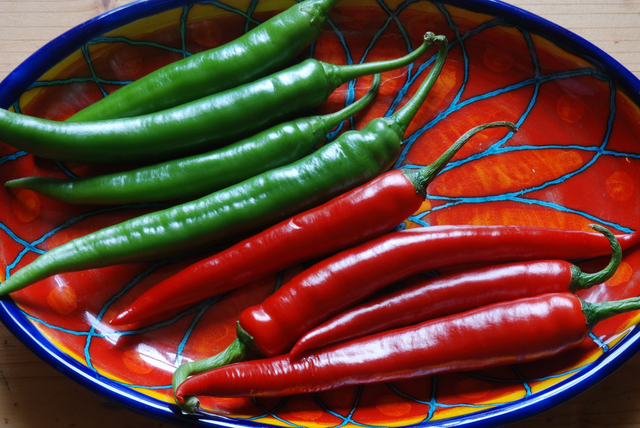 7.25.2026 Hedgerow Medicine