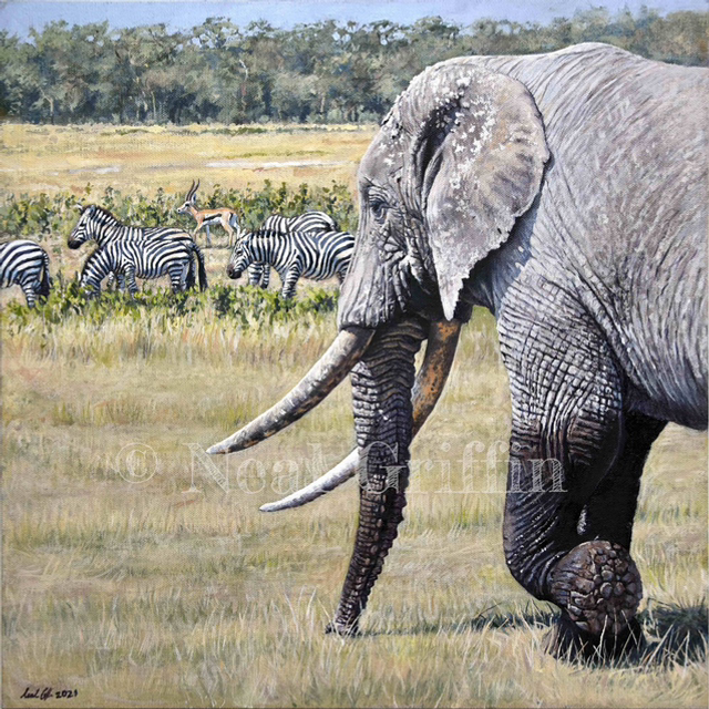 ‘Amboseli’ Giclee print 