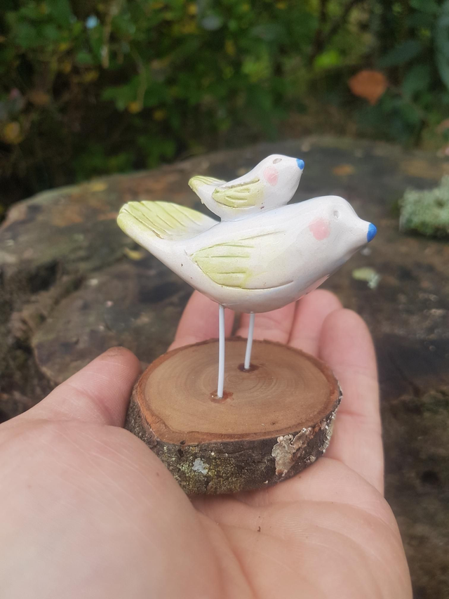 Oiseau sur oiseau n2