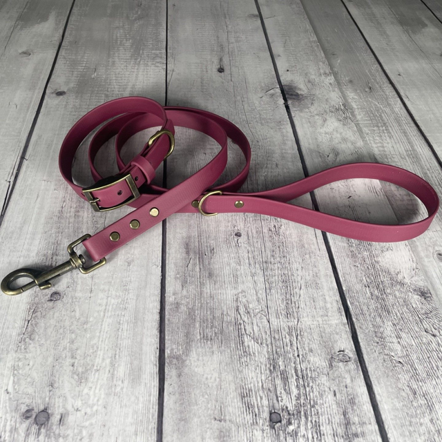 Wine Red Waterproof BioThane® Lead