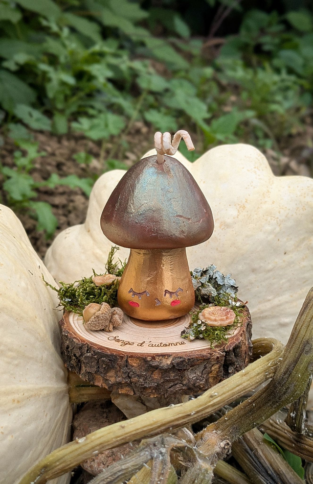 Champimimi 🍄‍🟫