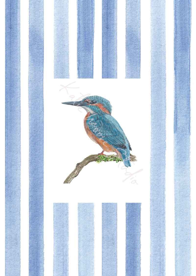 Kingfisher Stripe